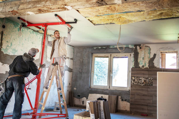 Best Geographic-Specific Insulation Services in Quitman, GA